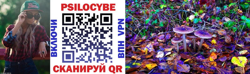 купить наркотик  Подпорожье  Галлюциногенные грибы Psilocybe 